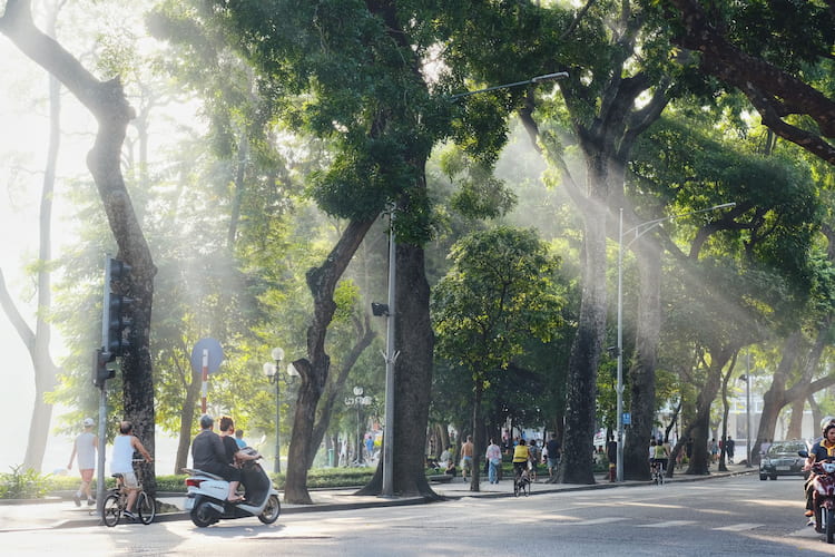 7D SPARKLING WINTER HOLIDAY HANOI SAPA HALONG BAY 2026